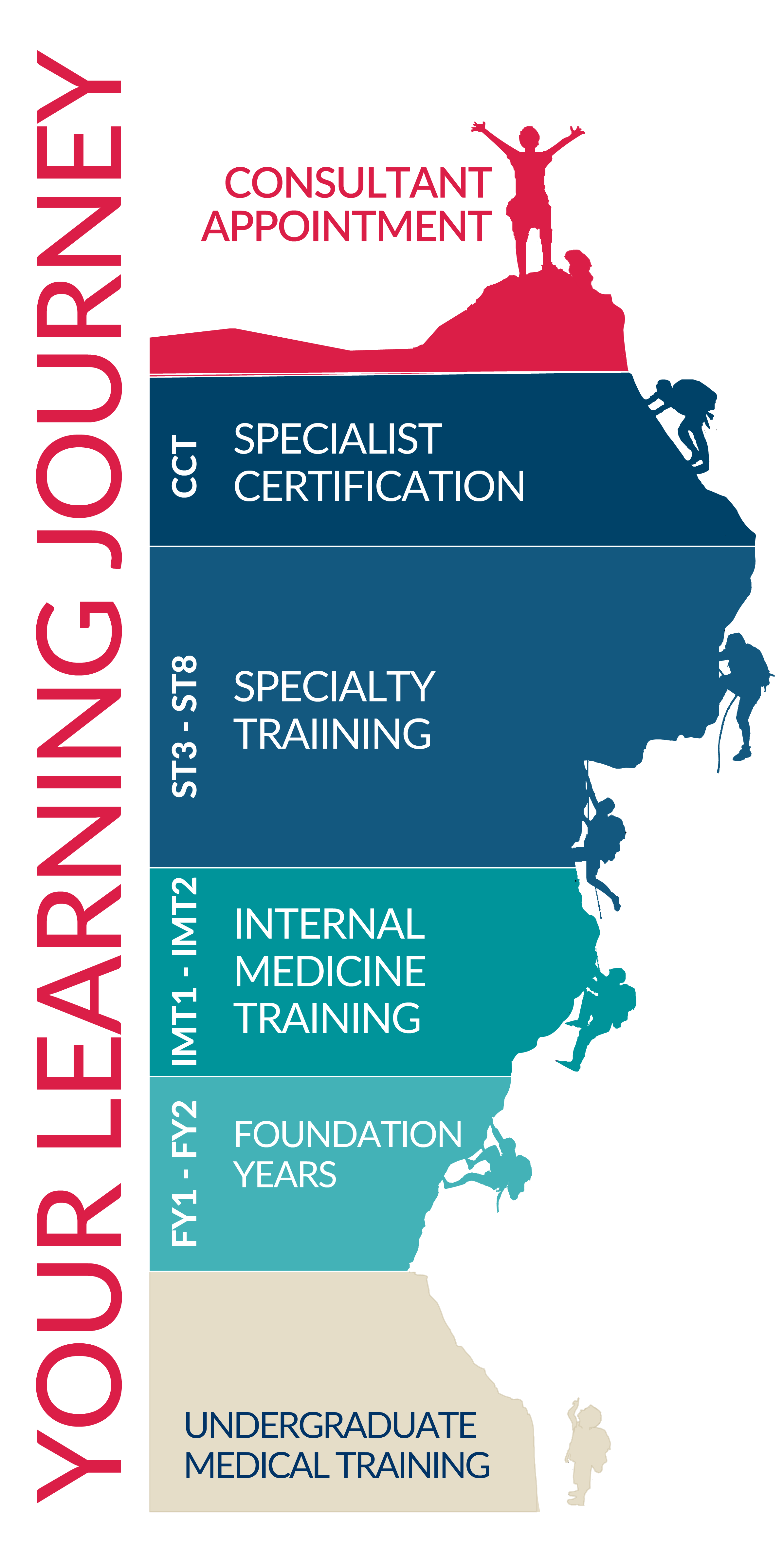 A graphic to show the medical education training pathway