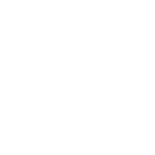 photographic icon