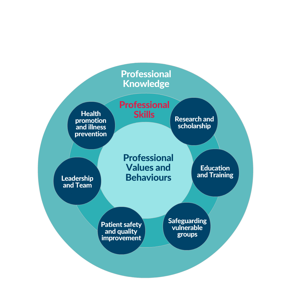 Nine domains of GMC prof capabilities
