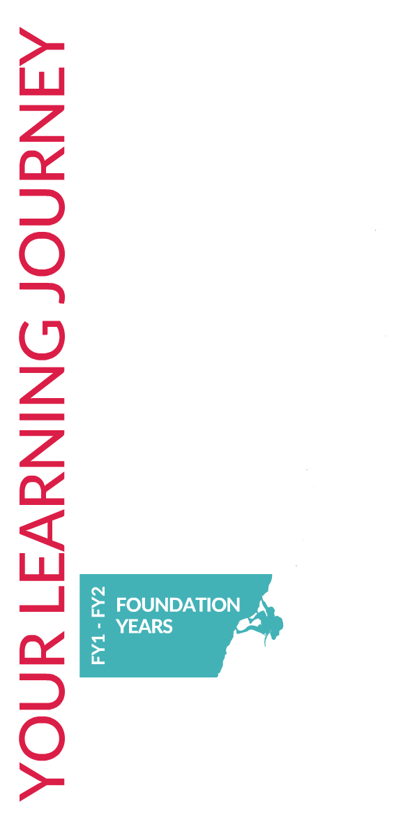 Postgraduate learning pathway climbing graphic for Foundation Years Training